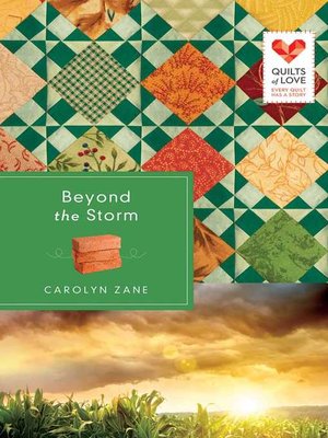 Beyond the Storm - ebook